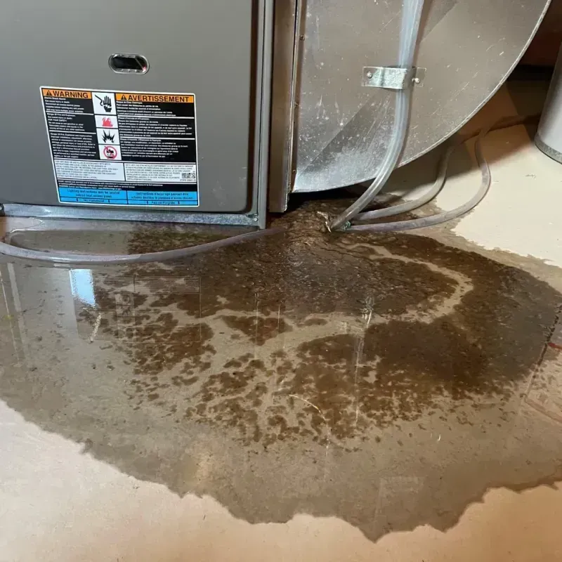 Appliance Leak Cleanup in Fairhope, PA